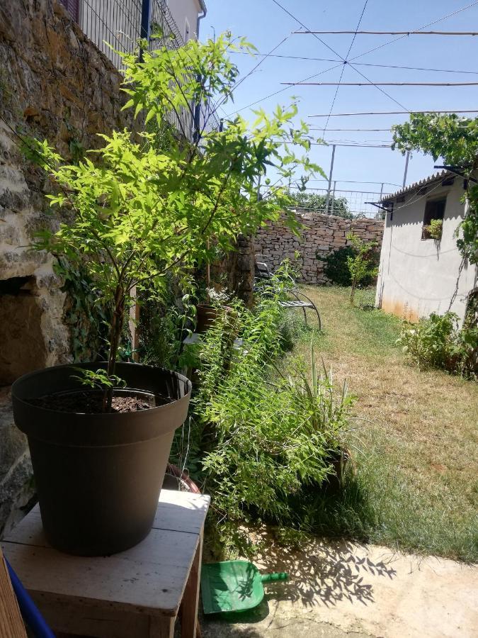 דירות Galižana Old Istrian House,Free Parking מראה חיצוני תמונה
